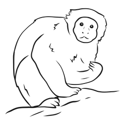 Desenho de perna de macaco-prego Desenho PNG