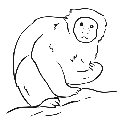 COMO DESENHAR UM MACACO - HOW TO DRAW A MONKEY 