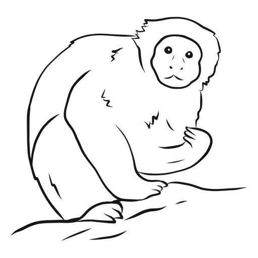 Dibujo de pierna de mono capuchino Diseño PNG