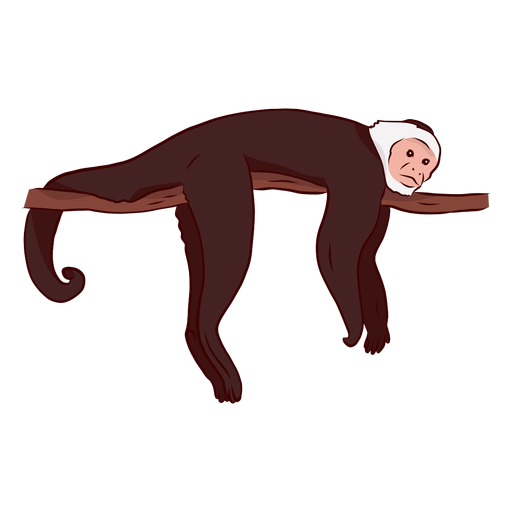 Design PNG E SVG De Ilustração De Ramo De Cauda De Macaco-prego Para  Camisetas