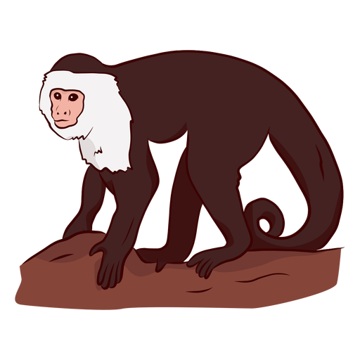 Design PNG E SVG De Desenho De Ramo De Cauda De Macaco-prego Para Camisetas