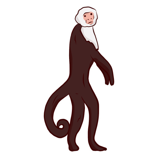 Capuchin monkey tail leg illustration PNG Design