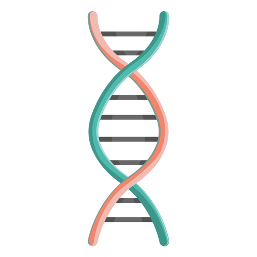 DNA-Kettengen-Illustration PNG-Design