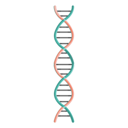 Ilustração de cadeia de DNA Desenho PNG