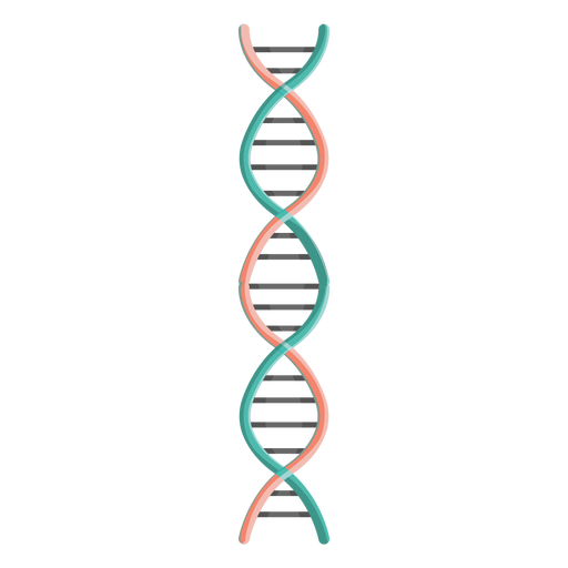 DNA-Kettenillustration PNG-Design