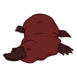 Entenschnabel Schnabeltier Schnabel Bein Illustration PNG-Design