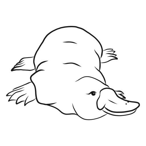 Duck Billed Platypus Coloring Page Coloring Pages