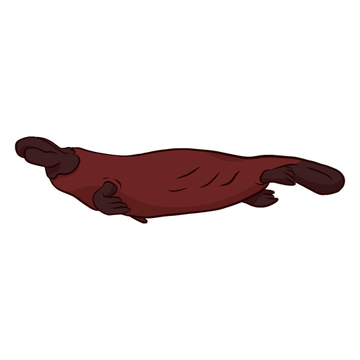 Duckbill Platypus Beak Leg Swimming Illustration - Transparent PNG ...