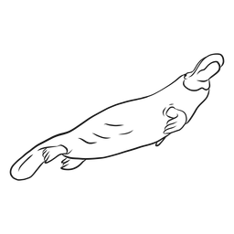 Pico de pato ornitorrinco pico pierna natación bosquejo Diseño PNG