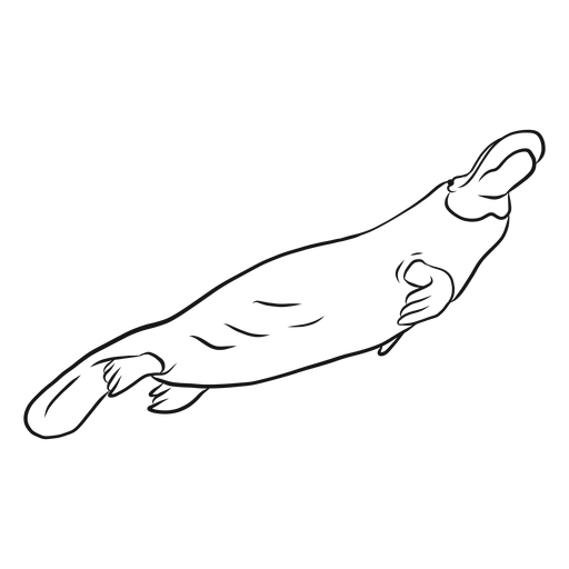 Duckbill platypus beak leg swimming sketch PNG Design