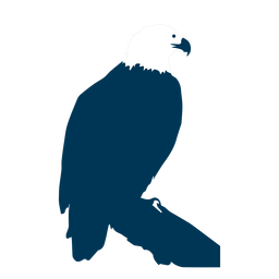 Silueta de cola de pico de águila Diseño PNG