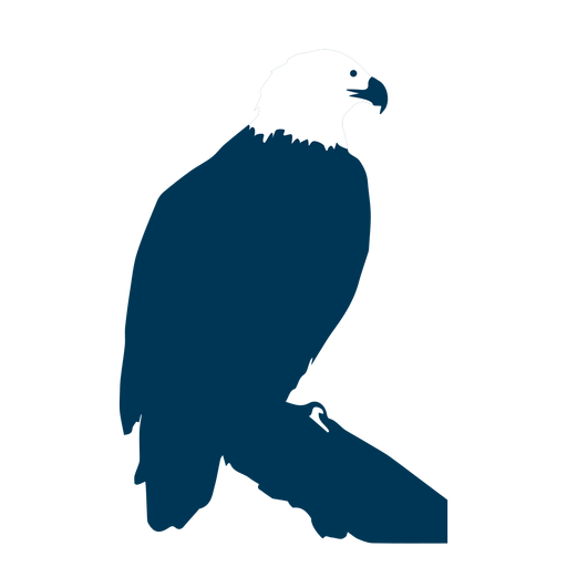 Silhueta de cauda de bico de águia Desenho PNG