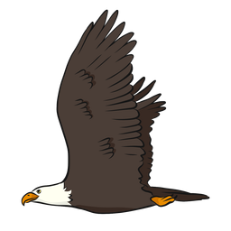 Eagle Beak Wing Tail Illustration PNG & SVG Design For T-Shirts