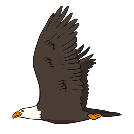 Eagle beak wing tail illustration