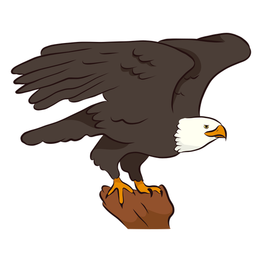 Ilustração da asa de águia Desenho PNG