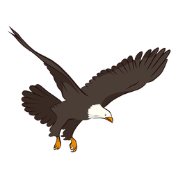 Eagle Wing Tail Illustration PNG & SVG Design For T-Shirts