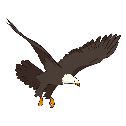 Eagle wing tail illustration