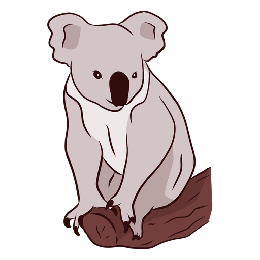 Ohr Koala Bein Nase Zweig Illustration PNG-Design