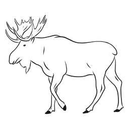 Bosquejo de pezuña de asta de alce alce Diseño PNG