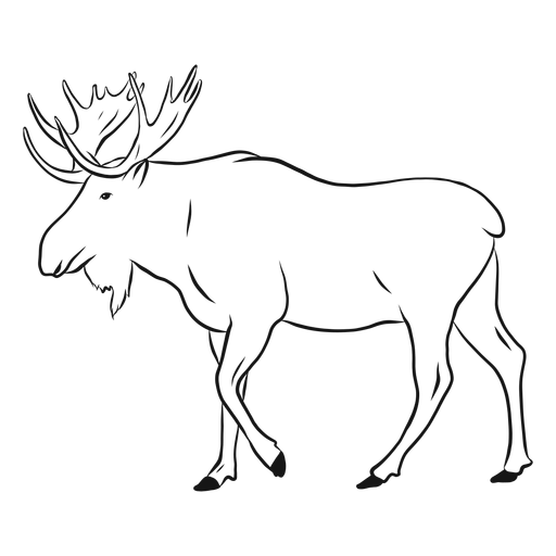 Elk moose antler hoof sketch