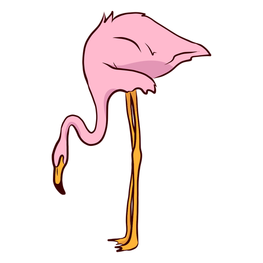 Flamingo beak leg illustration