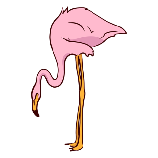 Ilustración de pierna de pico de flamenco Transparent PNG Ilustración de pierna de pico de flamenco Transparent PNG