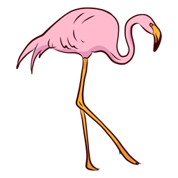 Ilustración de pierna de cuello de pico de flamenco Diseño PNG
