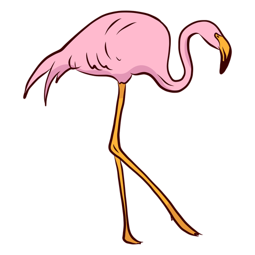Flamingo beak neck leg illustration Transparent PNG Flamingo beak neck leg illustration Transparent PNG