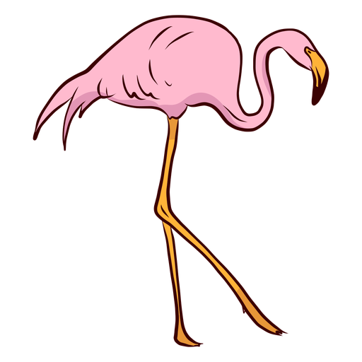 Flamingo beak neck leg illustration