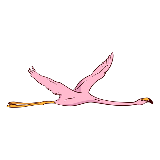 Flamingo ala ilustración Transparent PNG Flamingo ala ilustración Transparent PNG
