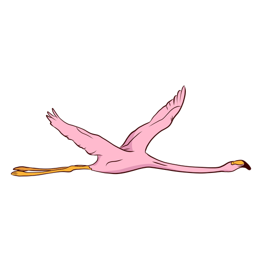 Flamingofl?gelillustration PNG-Design