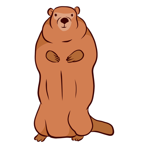 Ground hog marmot muzzle tail fur illustration PNG Design