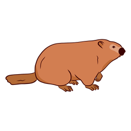 Ilustración de cola de hocico de marmota de cerdo de tierra Diseño PNG