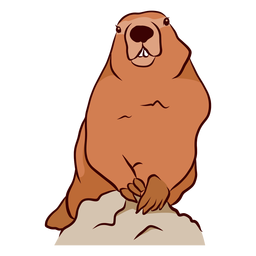Ground hog marmot muzzle tooth illustration PNG Design