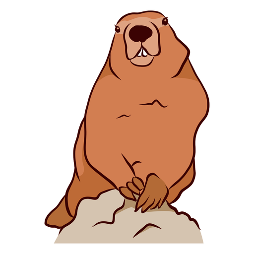 Ilustração de dente de focinho de marmota Desenho PNG