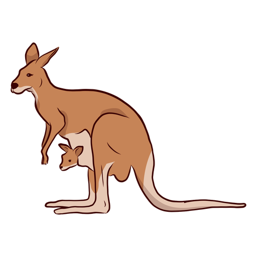 Ilustración de pierna de cola de oreja de canguro bebé canguro Diseño PNG