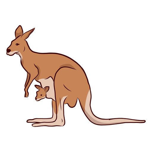 Kangaroo Baby Kangaroo Ear Tail Leg Illustration Transparent Png Svg Vector File