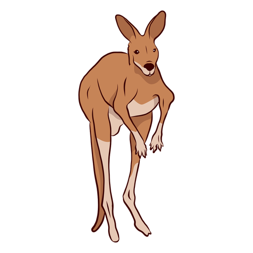 Ilustración de pierna de cola de oreja de canguro Diseño PNG