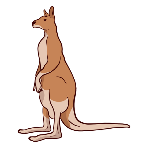 Kangaroo tail ear leg illustration PNG Design