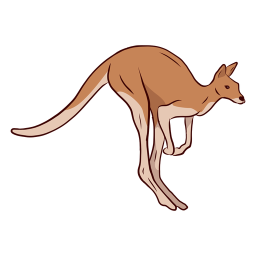 Ilustración de pata de cola de canguro Diseño PNG