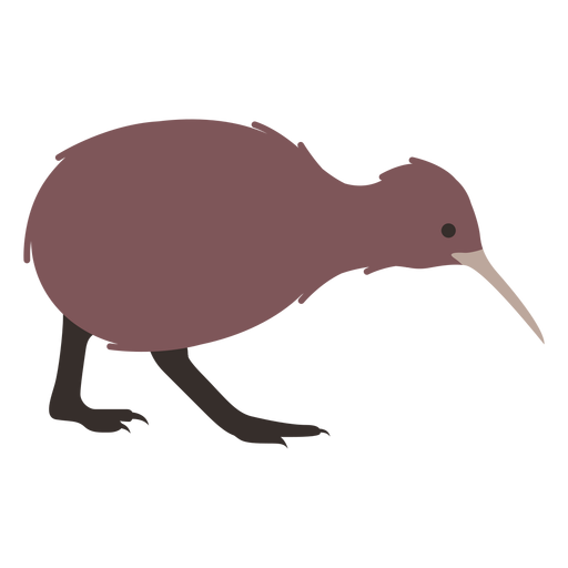 Kiwi beak leg flat PNG Design