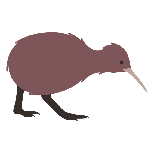 Kiwi Schnabelbein flach PNG-Design