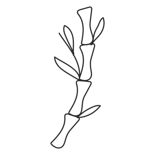 Dibujo de rama de hoja