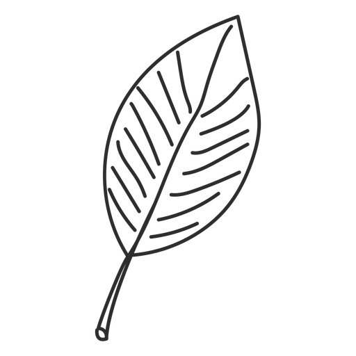 Leaf sketch PNG Design