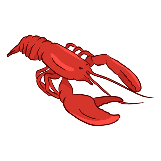 Lobster antenna claw tail illustration 