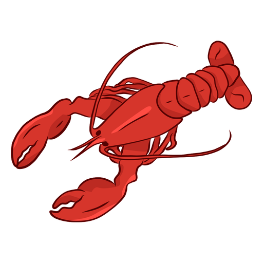 Lobster claw antenna tail illustration  PNG Design