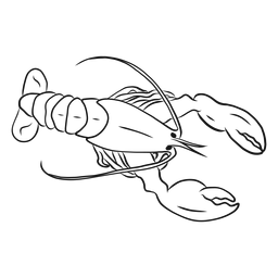 Lobster claw tail sketch PNG Design