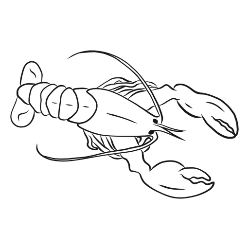 Lobster claw tail sketch PNG Design
