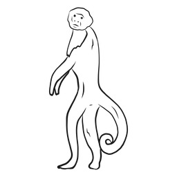 Dibujo de cola de pata de mono capuchino Diseño PNG