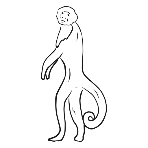Dibujo de cola de pata de mono capuchino Diseño PNG